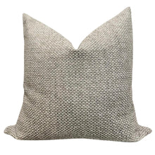 Load image into Gallery viewer, Darren Pillow Cover
